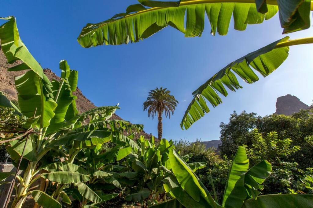 Vivienda Vacacional La Finca Лос-Пальмитос Экстерьер фото